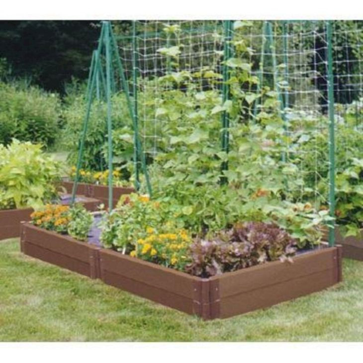 Small Backyard Vegetable Garden Ideas
 23 Most Productive Small Ve able Garden Ideas For Your