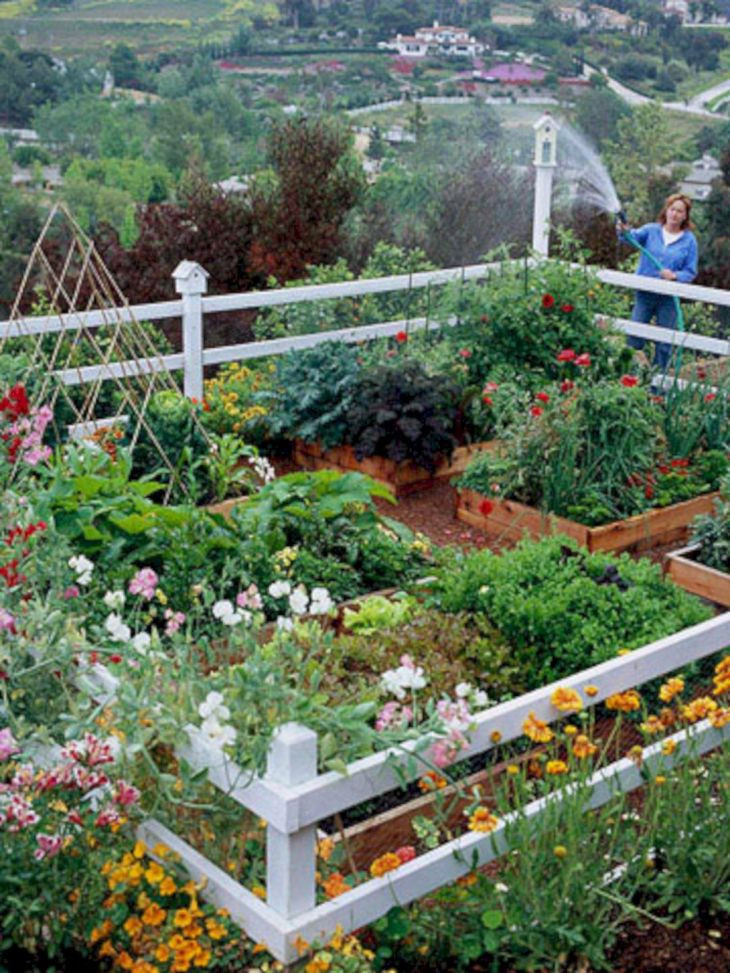 Small Backyard Vegetable Garden Ideas
 23 Most Productive Small Ve able Garden Ideas For Your