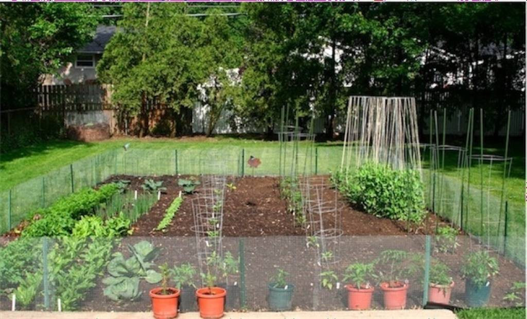 Small Backyard Vegetable Garden Ideas
 53 Best Backyard Landscaping Designs For Any Size And