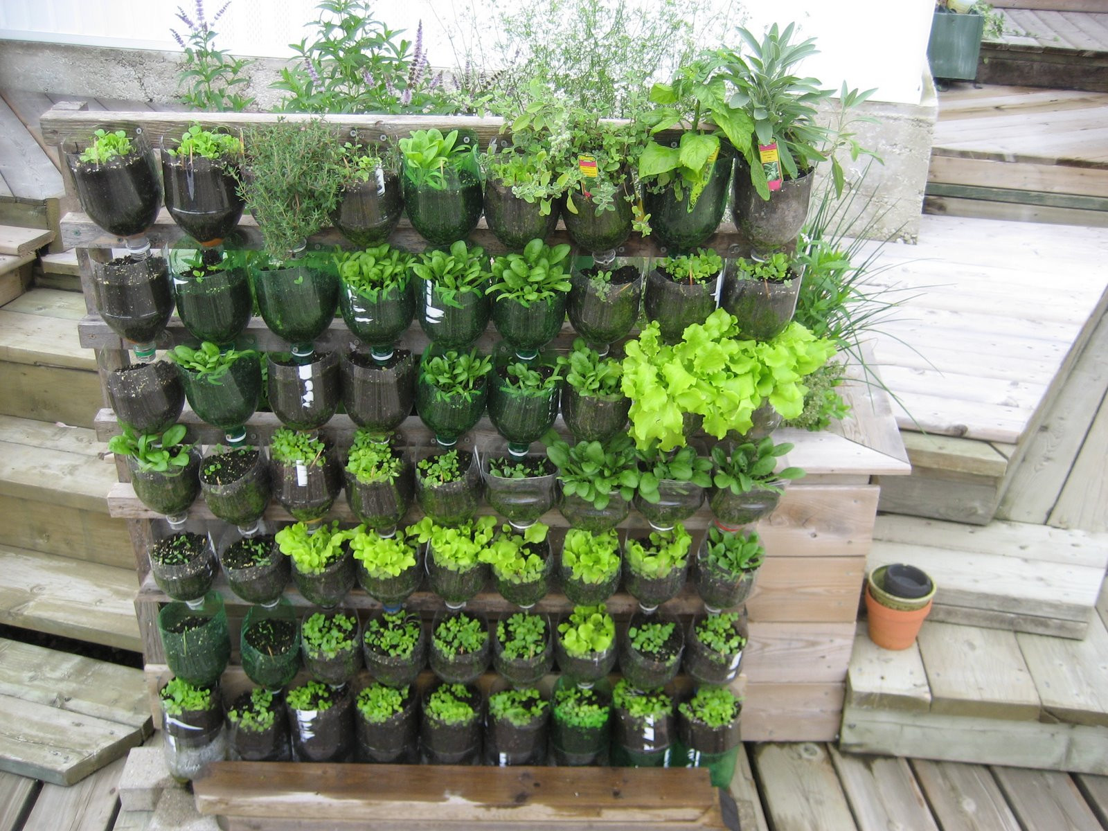 Small Backyard Vegetable Garden Ideas
 20 Vertical Ve able Garden Ideas