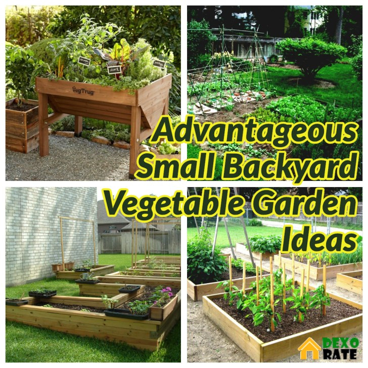 Small Backyard Vegetable Garden Ideas
 35 Advantageous Small Ve able Garden Ideas for Your