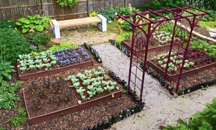 Small Backyard Vegetable Garden Ideas
 Best 20 Ve able Garden Design Ideas for Green Living