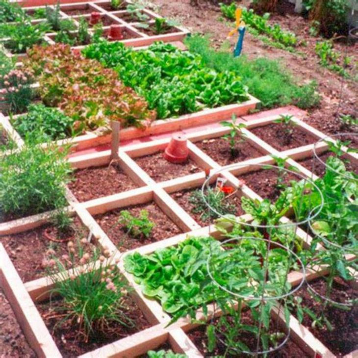 Small Backyard Vegetable Garden Ideas
 30 Most Productive Small Ve able Garden Ideas For Your