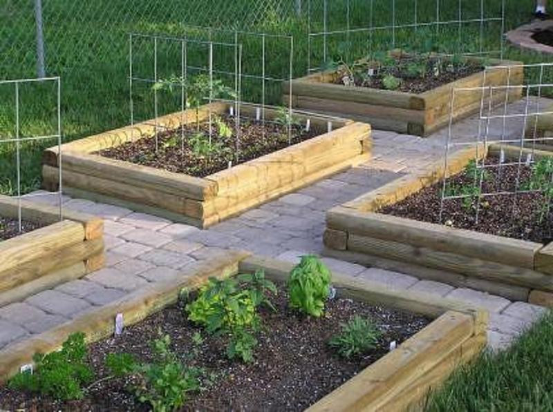 Small Backyard Vegetable Garden Ideas
 Garden Designs However After Outdoor Indoor design