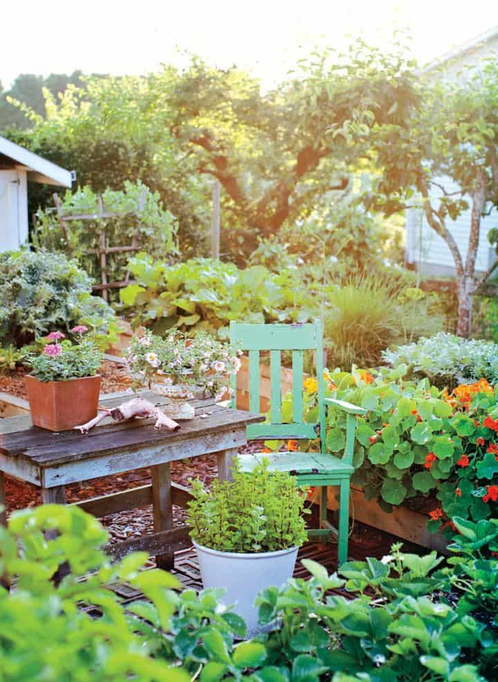 Small Backyard Vegetable Garden Ideas
 Best 20 Ve able Garden Design Ideas for Green Living