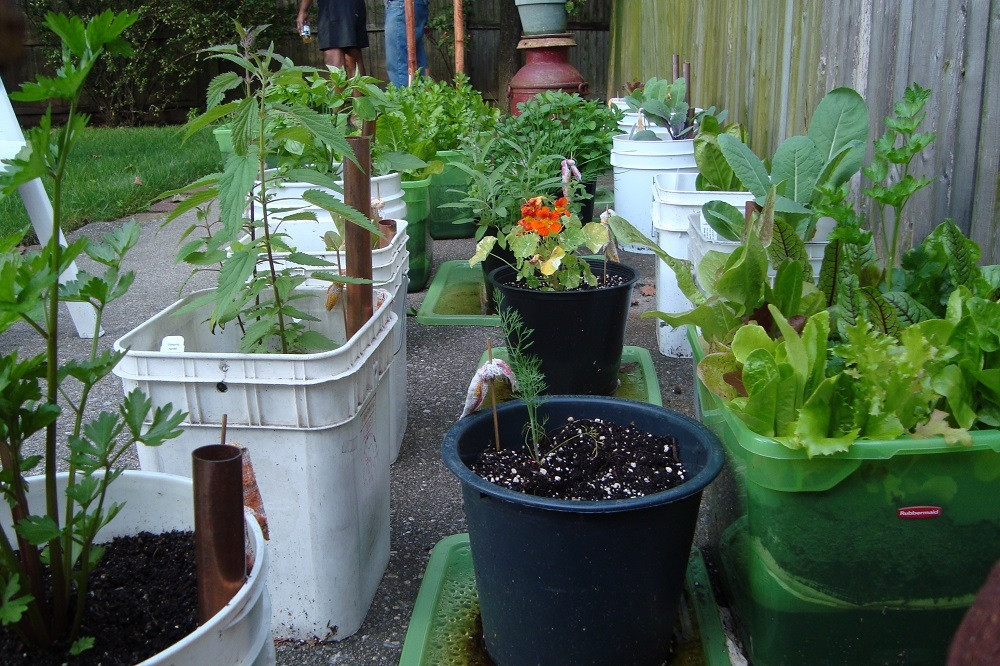 Small Backyard Vegetable Garden Ideas
 10 Small Ve able Garden Ideas A Green Hand