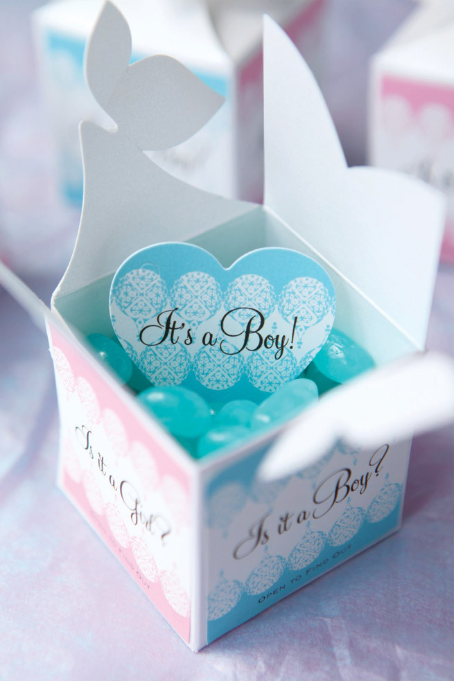 Small Gender Reveal Party Ideas
 Baby Gender Reveal Gifts Party Inspiration