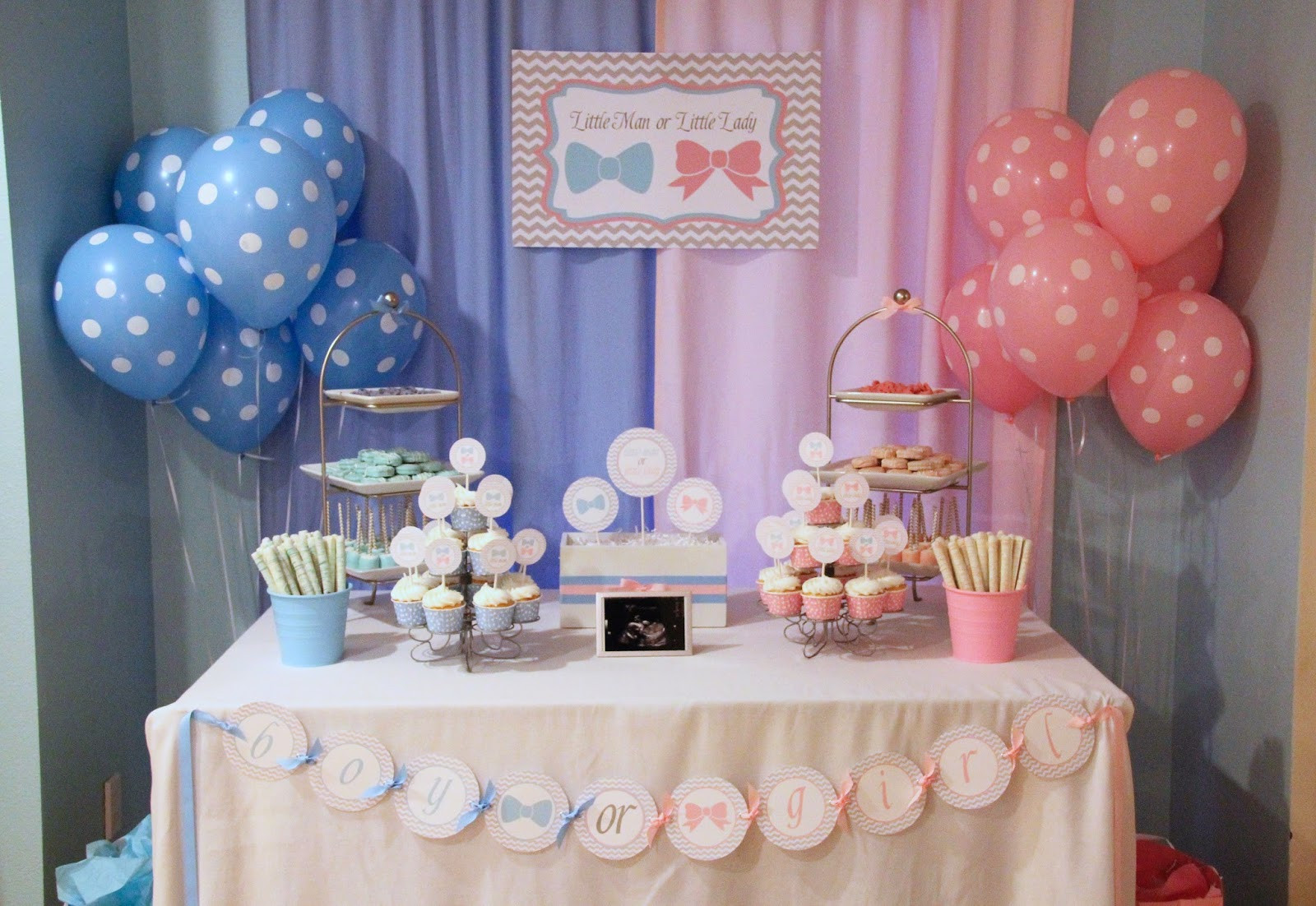 Small Gender Reveal Party Ideas
 5M Creations Gender Reveal Party Little Man or Little Lady