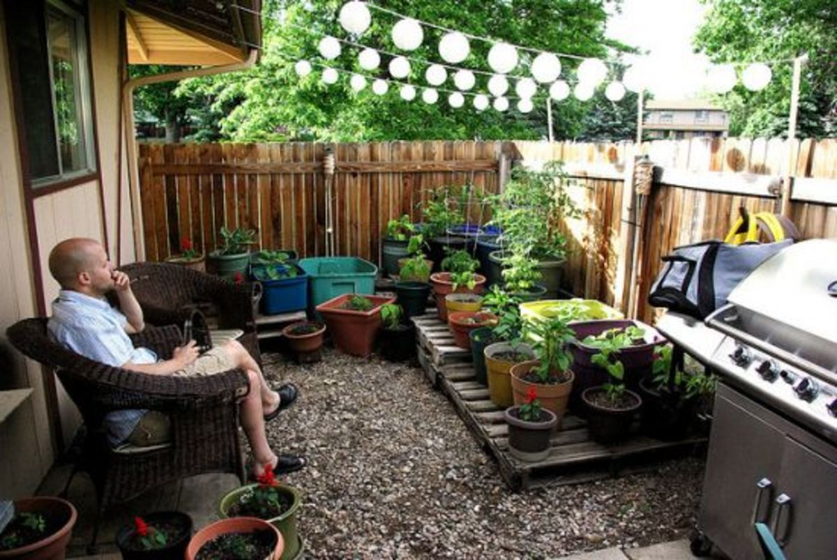 Small Space Backyard Ideas
 Tiny Plot Big Bounty 4 Small Space Gardening