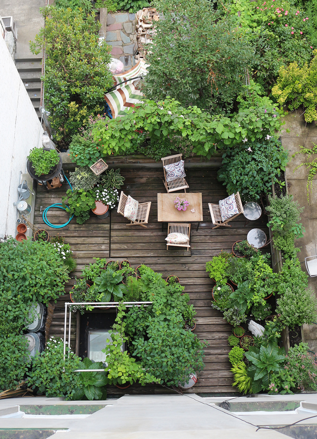 Small Terrace Landscape
 Rehab Diary A Year in the Life of a Brooklyn Garden