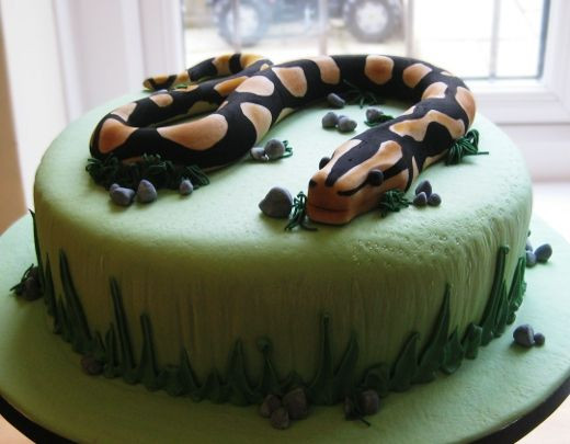 Snake Birthday Cake
 25 best Snake Cakes images on Pinterest