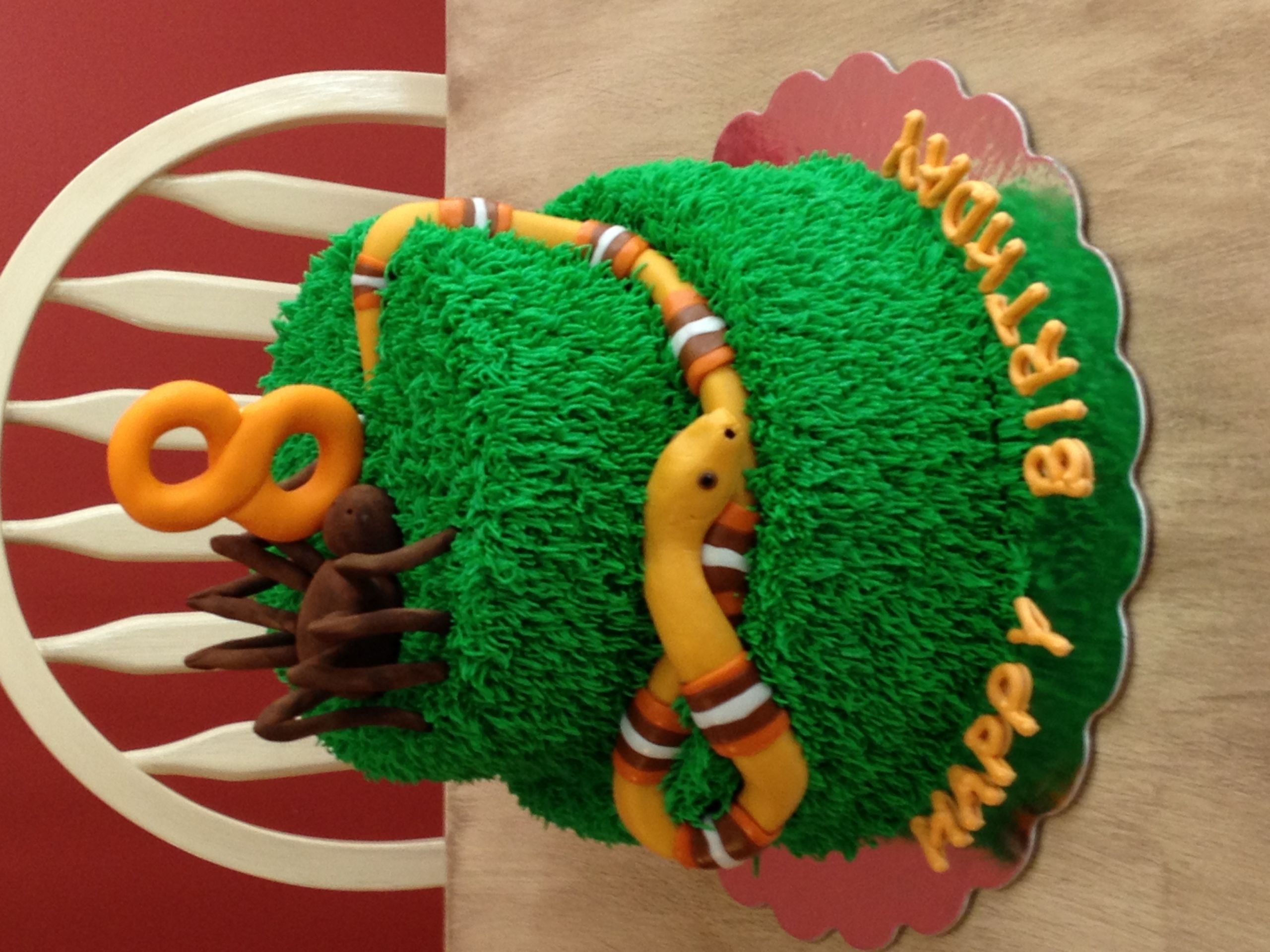 Snake Birthday Cake
 Snake Birthday Cakes