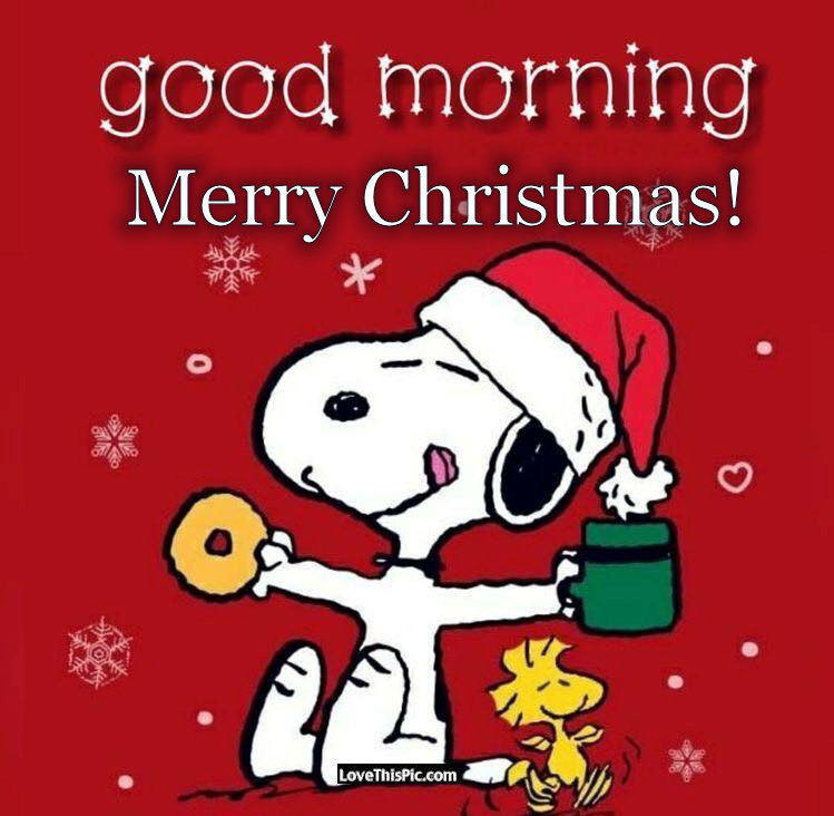 Snoopy Christmas Quotes
 Snoopy Good Morning Merry Christmas s and