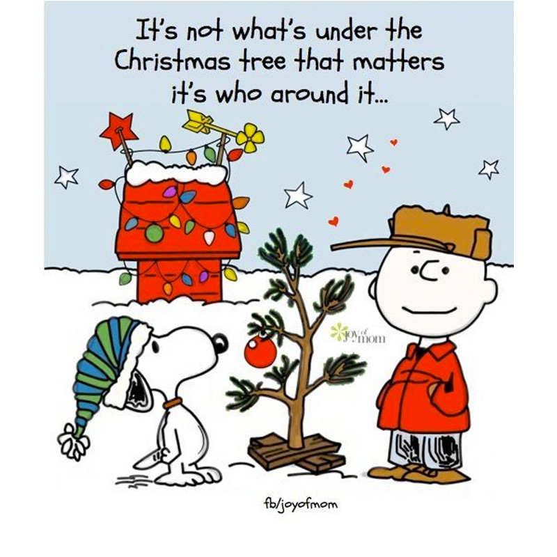 Snoopy Christmas Quotes
 Merry Christmas & a fantastic 2016