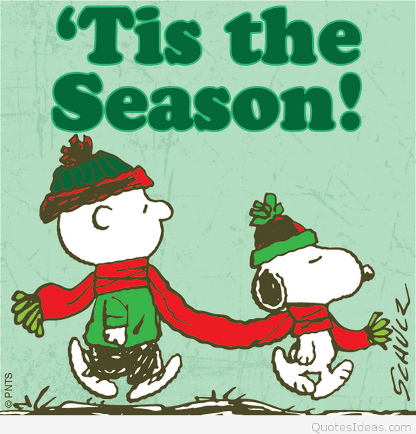 Snoopy Christmas Quotes
 Wonderful Merry Christmas for my brothers quotes