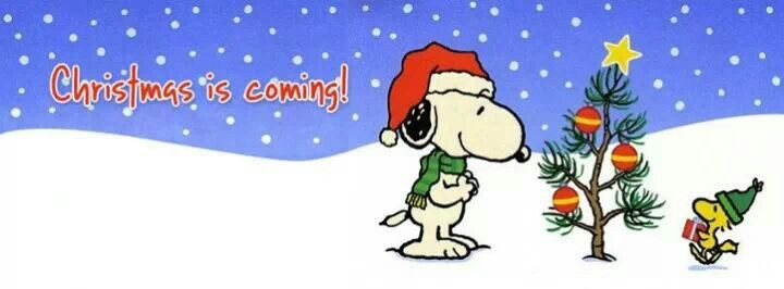 Snoopy Christmas Quotes
 Snoopy Christmas Quotes QuotesGram