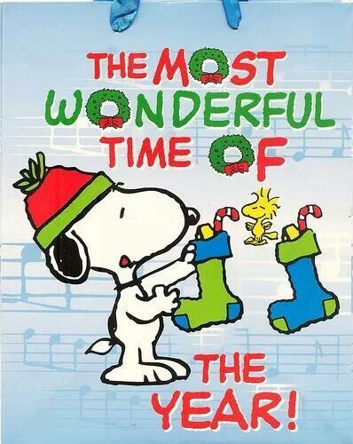 Snoopy Christmas Quotes
 5058 best Peanuts Characters images on Pinterest