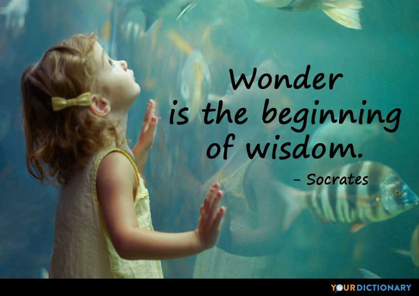 Socrates Quotes Children
 Wonder is the beginning of wisdom