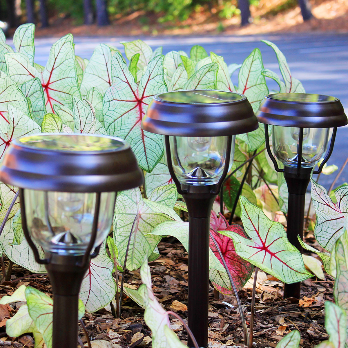 Solar Outdoor Landscape Lighting
 Solar Garden Lights with Dual Color Option 2 Pack