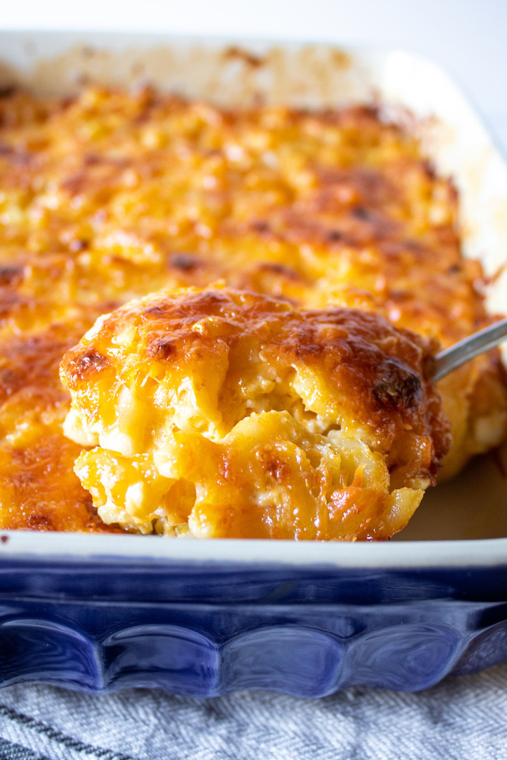 Southern Baked Macaroni And Cheese Recipes
 Southern Baked Macaroni and Cheese The Hungry Bluebird