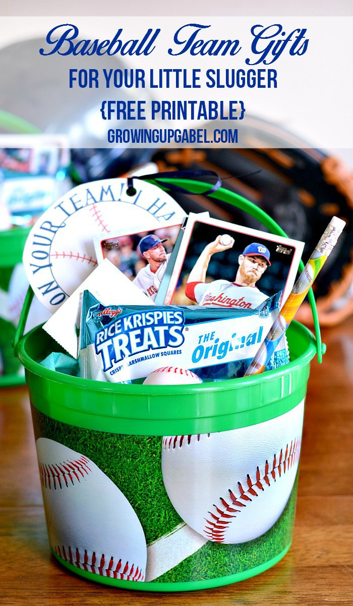 Sports Gift Basket Ideas
 Fun Sports Easter Basket Ideas for boys and girls