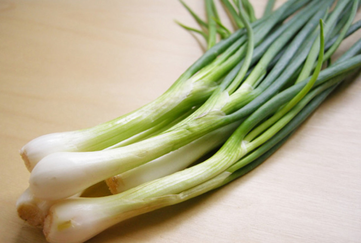 Spring Onion Recipe
 RECIPE Caramelized Spring ions Joy of Kosher