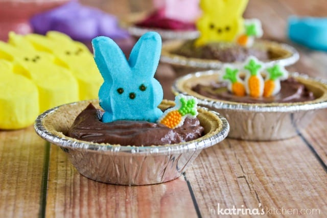 Spring Recipes For Kids
 Peeps Pudding S mores Pies Recipe