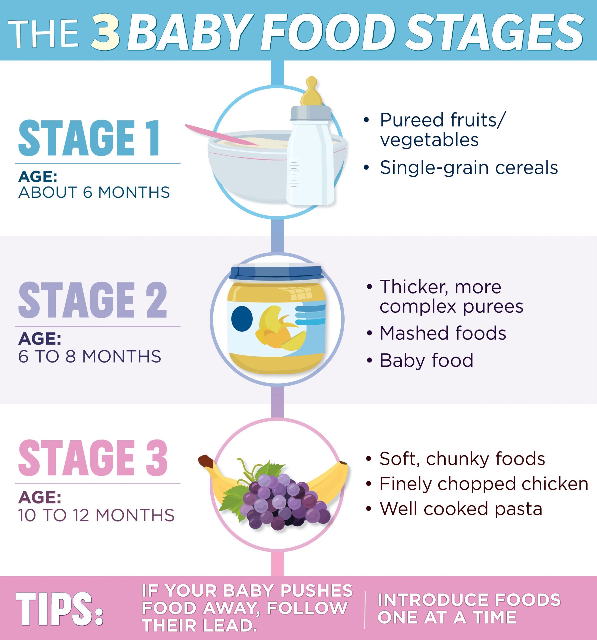 Stage 1 Baby Food Recipe
 Baby Food Stages Decoded Plus a Free Printable