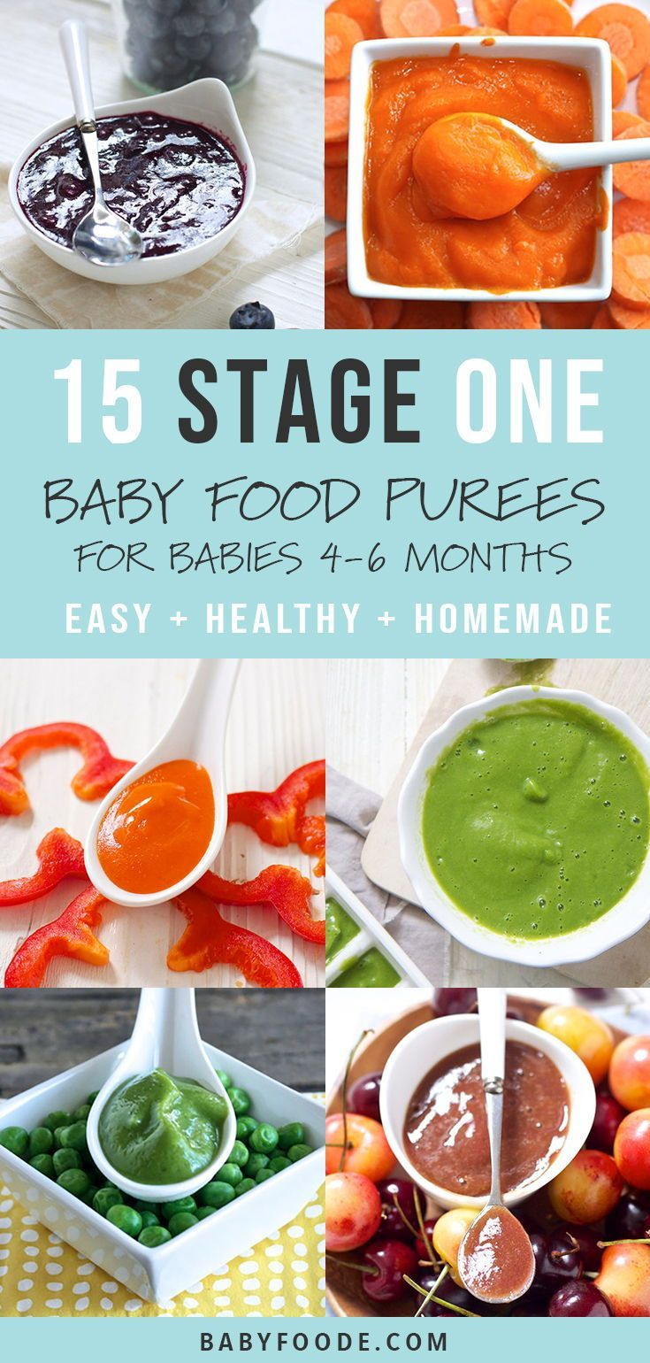 Stage 1 Baby Food Recipe
 15 Stage e Baby Food Purees 4 6 Months With images