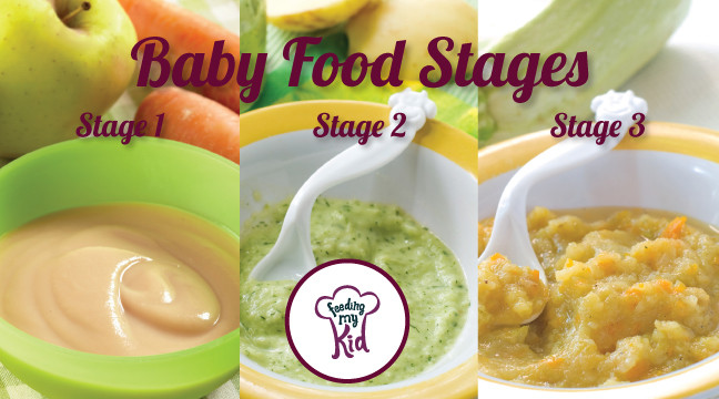 Stage 1 Baby Food Recipe
 Differences in Baby Food Stages and Puree Texture