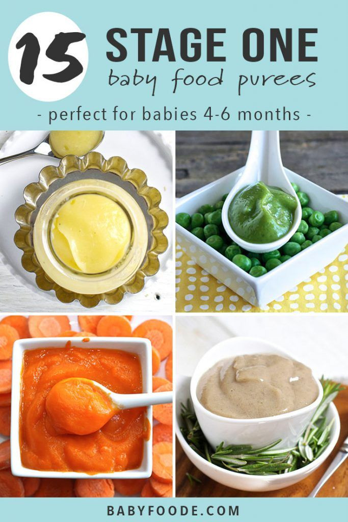 Stage 1 Baby Food Recipe
 15 Stage e Baby Food Purees 4 6 Months