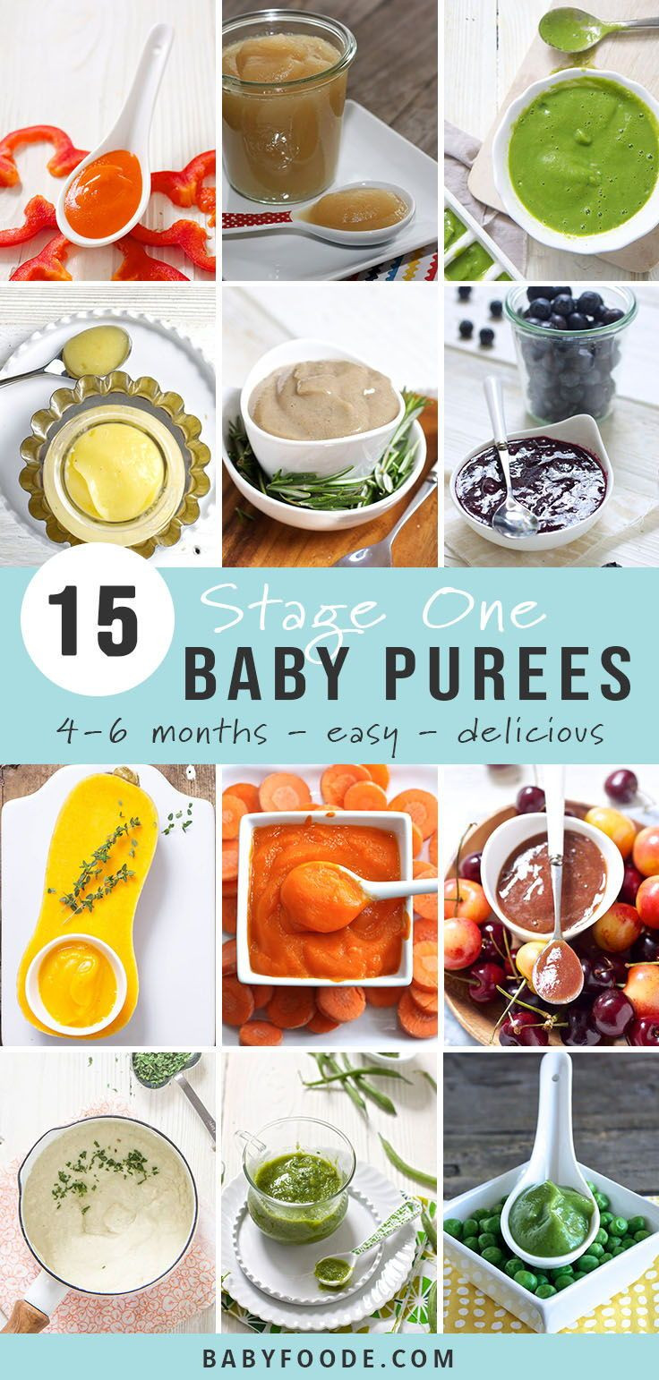 Stage 1 Baby Food Recipe
 15 Stage e Baby Food Purees 4 6 Months