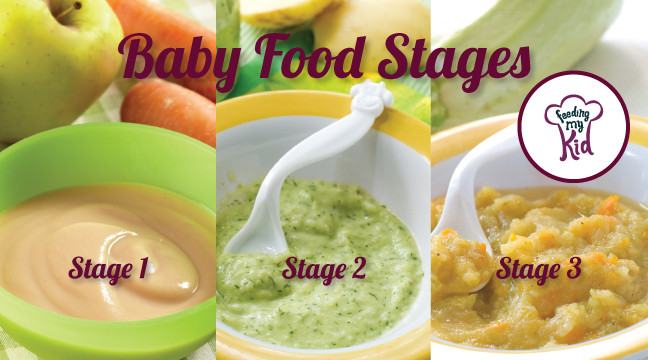 Stage 1 Baby Food Recipe
 Making Baby Food What You Need to Know Before You Get