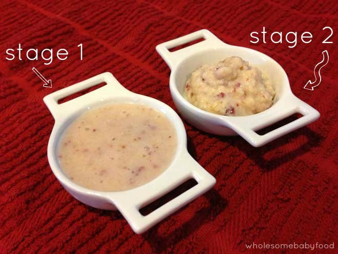 Stage 1 Baby Food Recipe
 Stage 1 Homemade Baby Food Recipes for Baby 4 to 6 Months