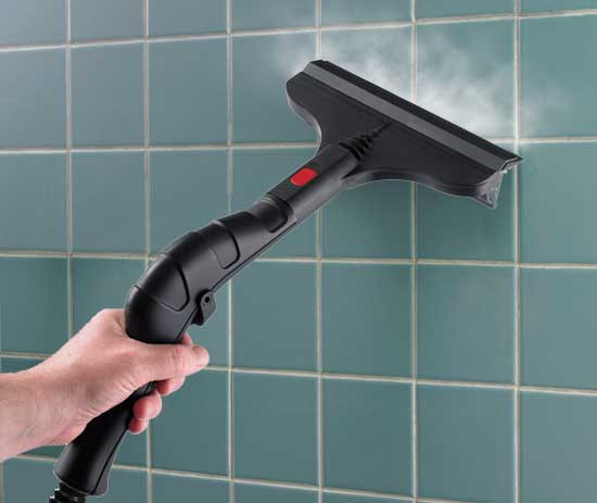 Steam Cleaner For Bathroom Tiles
 Amazon Wagner 915 1 500 Watt Demand