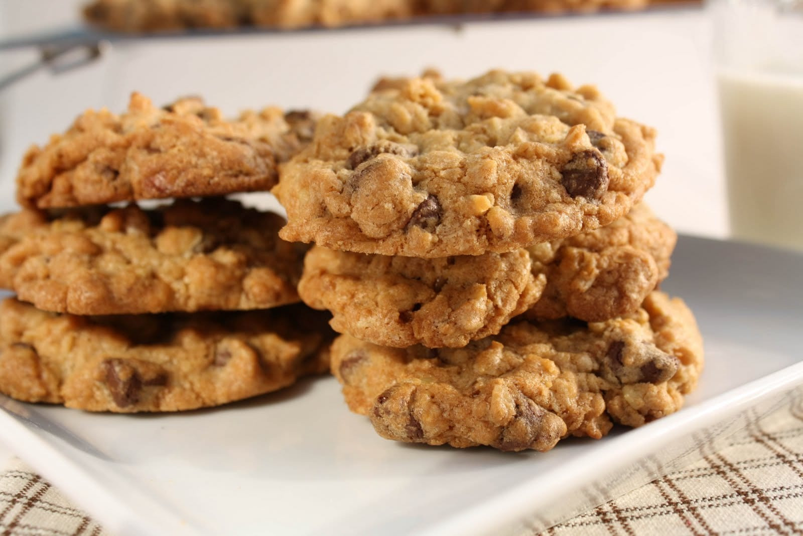 Steel Cut Oats Cookies
 Chocolate Chip Oatmeal Cookies Gluten Free Option What
