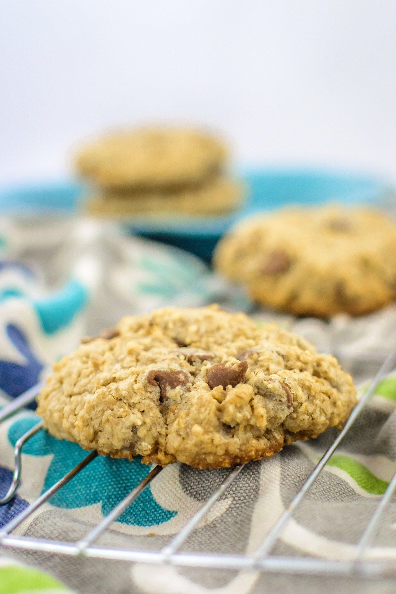 Steel Cut Oats Cookies
 Using instant steel cut oats in your chocolate chip