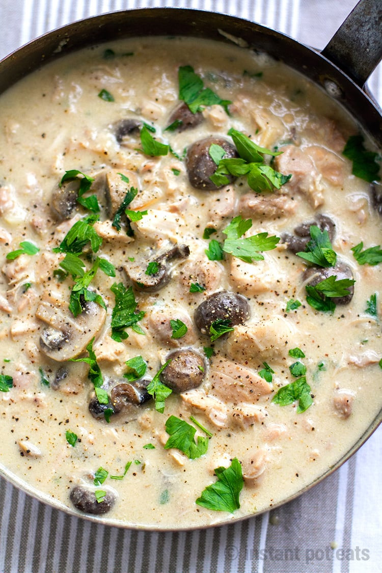 Stew Meat And Cream Of Mushroom Soup
 Instant Pot Chicken Stew With Mushrooms