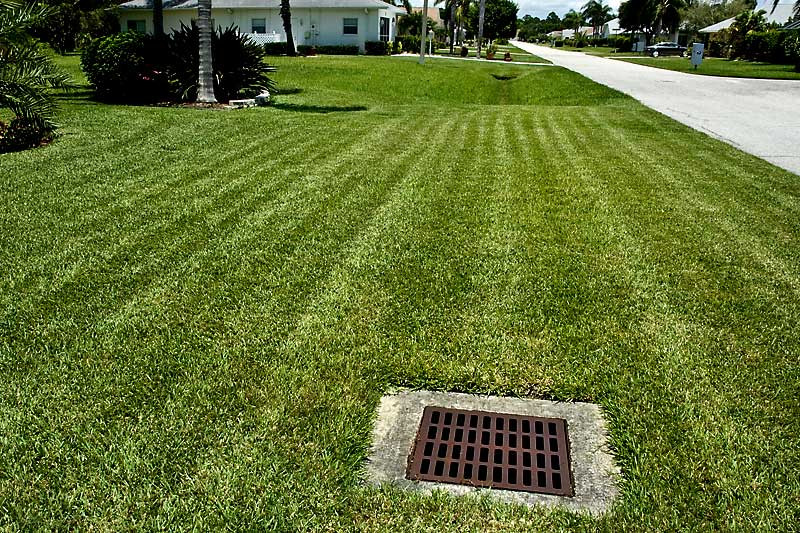 Storm Drain In Backyard
 I Otter be in