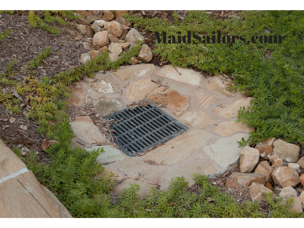 Storm Drain In Backyard
 A Guide to Maintaining a Yard Drain