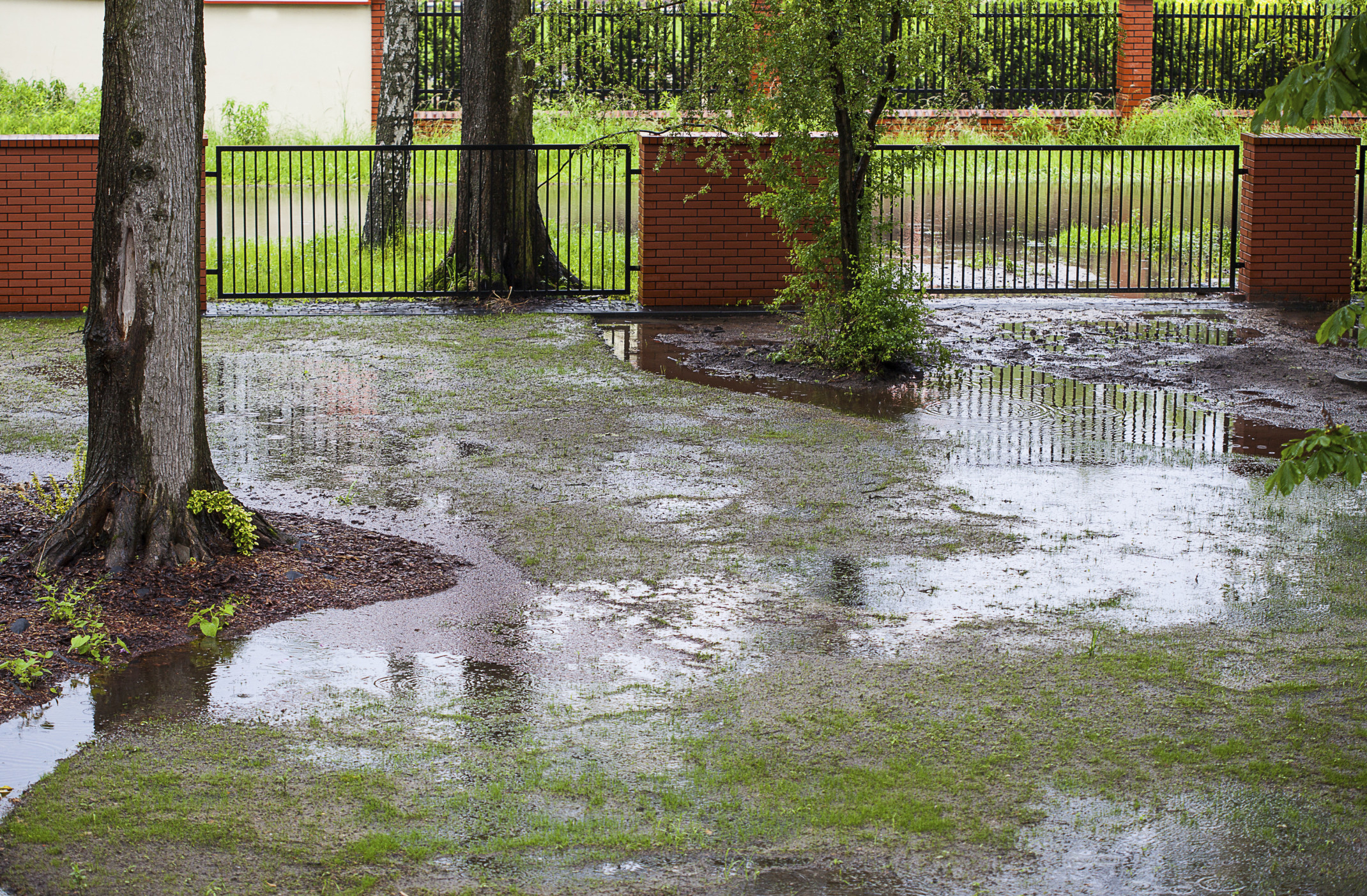 Storm Drain In Backyard
 After the Bay Area Storm Identifying Gutter Problems