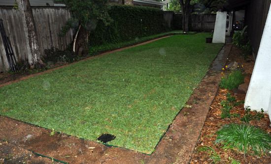 Storm Drain In Backyard
 Residential Drainage