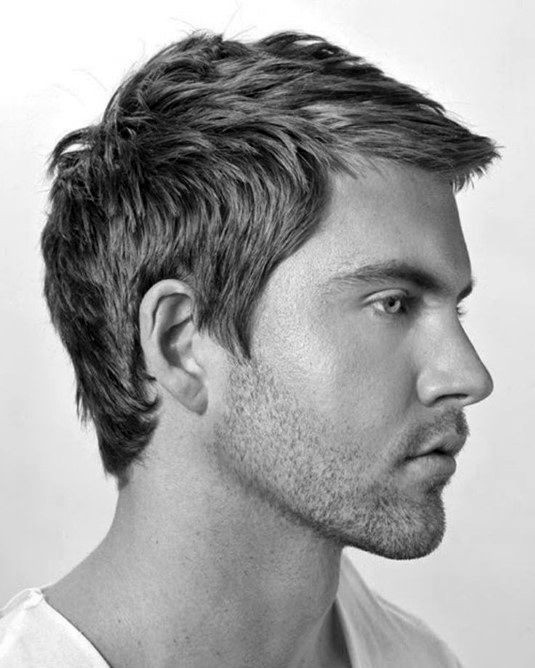 Straight Hairstyles Male
 40 Men s Haircuts For Straight Hair Masculine Hairstyle