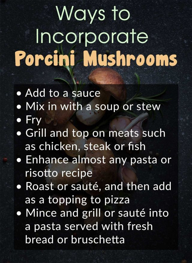 Substitute For Dried Porcini Mushrooms
 Substitute For Dried Mushrooms All Mushroom Info