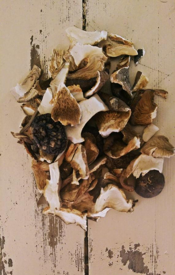 Substitute For Dried Porcini Mushrooms
 Porcini Mushrooms Dried All Natural Gluton Free by