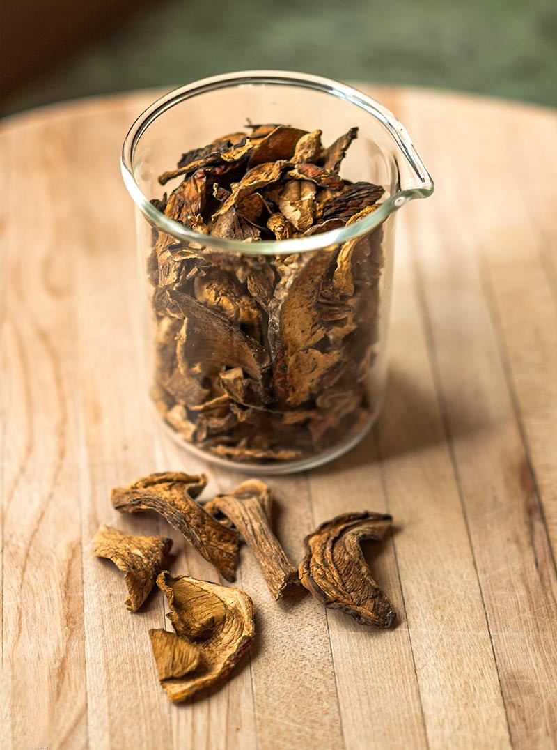 Substitute For Dried Porcini Mushrooms
 The Earthy Delights Recipe Blog