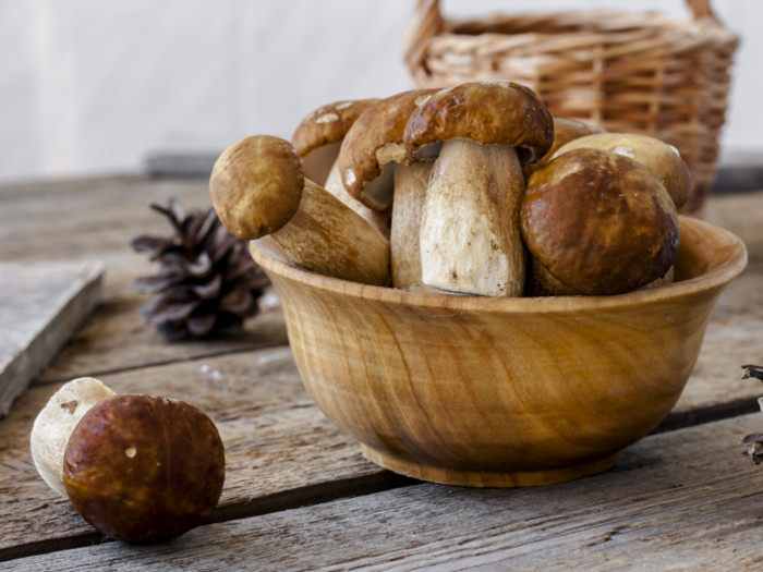 Substitute For Dried Porcini Mushrooms
 Top 4 Porcini Mushroom Substitutes