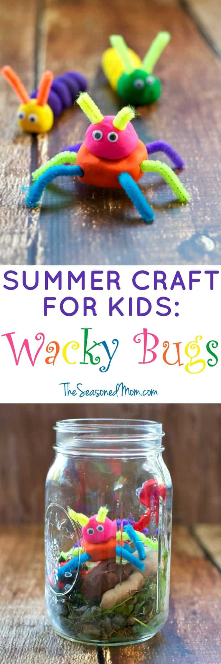 Summer Kids Crafts
 Summer Craft for Kids Wacky Bugs The Seasoned Mom