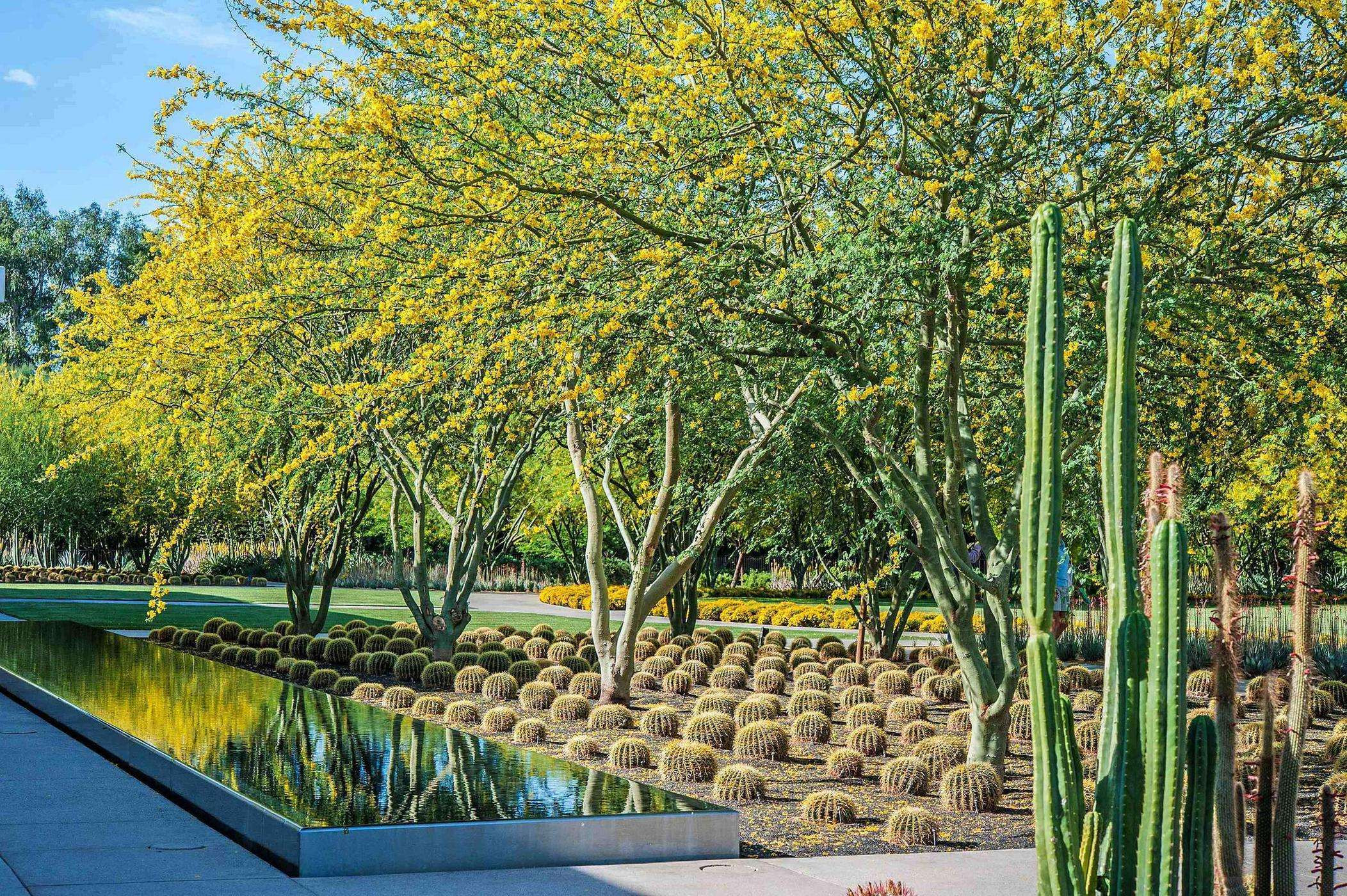 Sustain Landscape Design
 ASLA features successful sustainable landscape designs