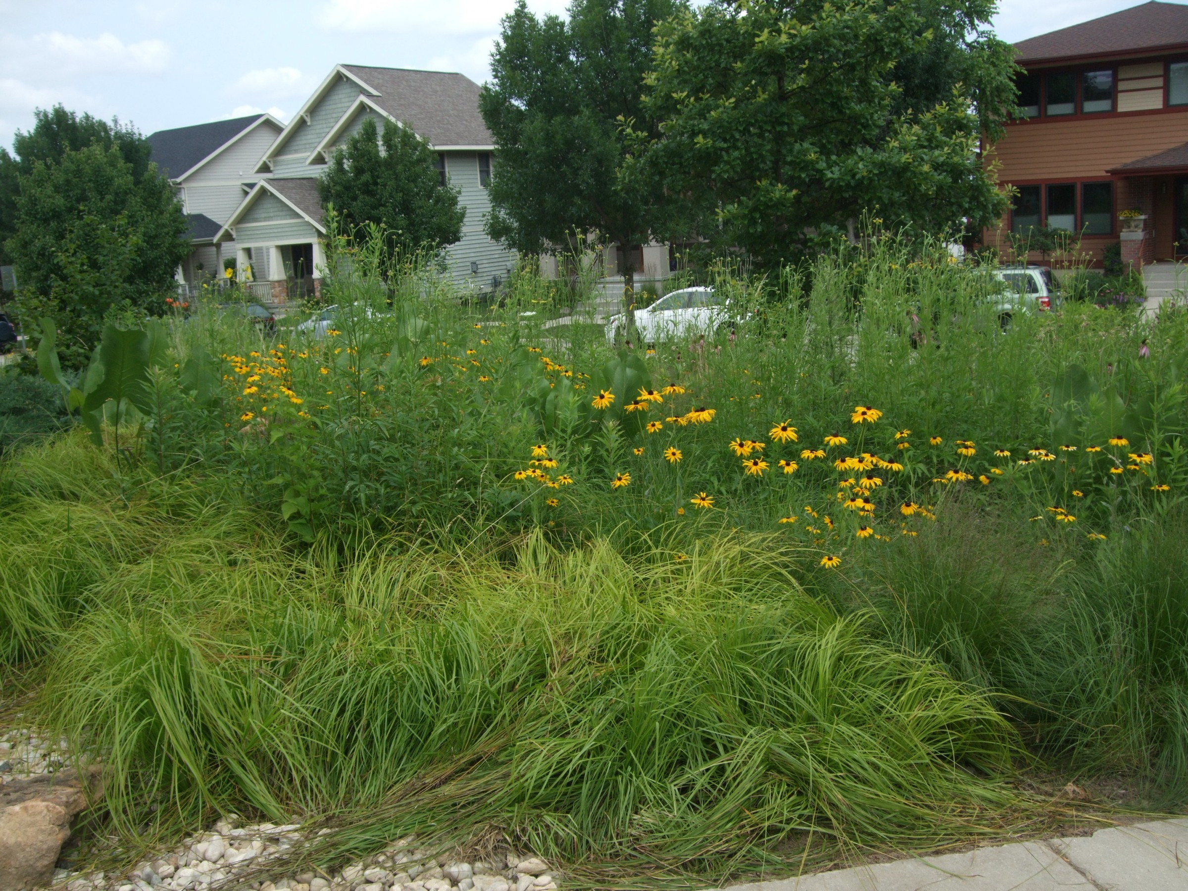 Sustain Landscape Design
 Examples of Sustainable Landscape Design – Landscape